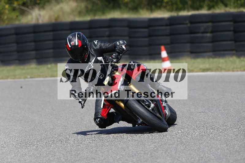 /46 11.08.2025 PADDYS-RACES-DAYS ADR/Sport-Profi/5